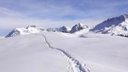 蜜雪冰城的四季春茶是什么茶，蜜雪冰城必喝榜2023(蜜雪冰城的四季春茶可以隔夜喝吗)