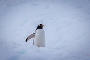 雪琪早播报10月22日(雪琪早播报10月24日)