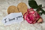 中科灵芝孢子胶囊功效 中科灵芝孢子油软胶囊价格(中科灵芝孢子胶囊的功效)
