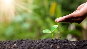 养荣百草丸对停经闭经管用吗 养荣百草丸是骗局吗(养荣百草丸可以连着吃一个月吗)